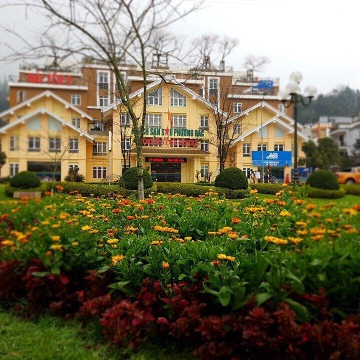 Northstar Hotel Sapa - Sao Hai Yen 2 سابا المظهر الخارجي الصورة